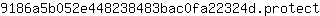 9***t