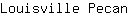 L***n