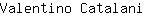 V***i