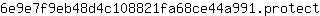 6***t