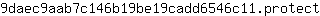 9***t
