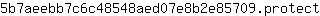 5***t