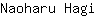 N***i
