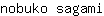 n***i