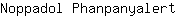 N***t