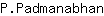 P***n