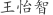 王***智