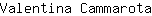 V***a