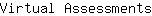 V***s