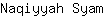 N***m