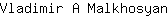 V***n