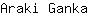 A***a