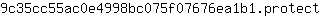 9***t