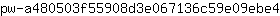 p***4