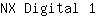 N***1