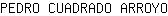 P***O