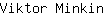 V***n