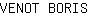 V***S