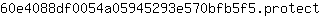 6***t