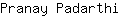 P***i
