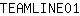 T***1