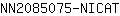 N***T
