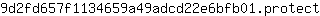 9***t