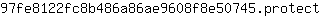 9***t