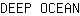 D***N