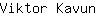 V***n