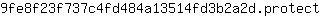 9***t