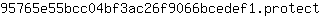 9***t