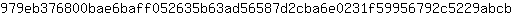 9***b