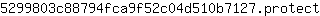 5***t