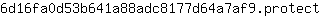 6***t
