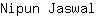 N***l