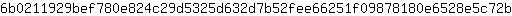 6***b