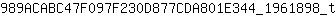 9***t