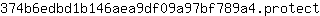 3***t