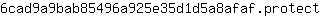 6***t