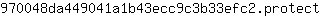 9***t