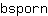 b***n