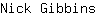 N***s