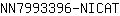 N***T