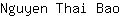 N***o