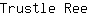 T***e
