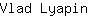 V***n