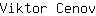 V***v