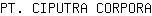 P***A