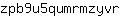 z***r